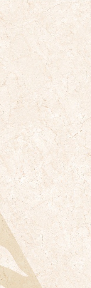 تراویس روشن