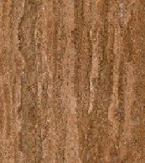 آترین گردویی