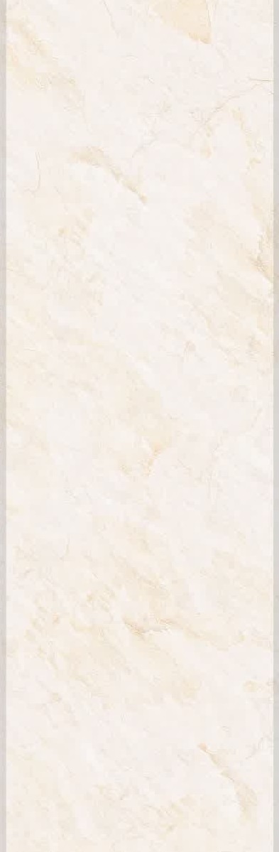 دایانا RT11