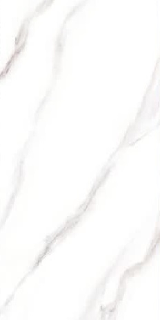 نودهلی